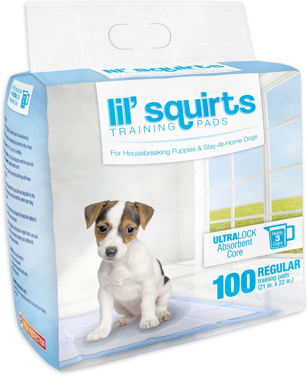 Lil' Squirts Dog Training Pads