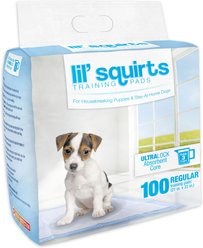 Lil' Squirts Dog Training Pads, Regular, 100 count