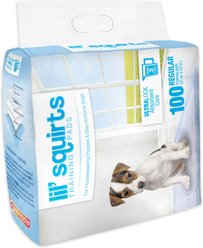 Lil' Squirts Dog Training Pads, Regular, 100 count slide 2 of 3
