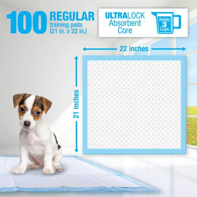 Show full view: Lil' Squirts Dog Training Pads, Regular, 100 count slide 3 of 4