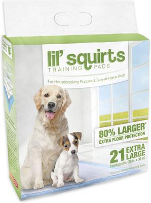 Show full view: Lil' Squirts Dog Training Pads, X-Large, 21 count slide 2 of 4