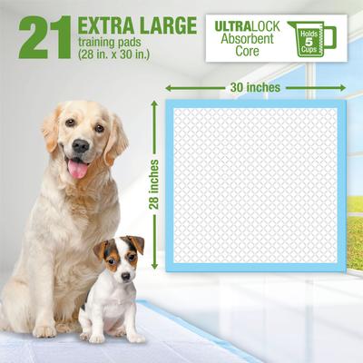 Show full view: Lil' Squirts Dog Training Pads, X-Large, 21 count slide 3 of 4