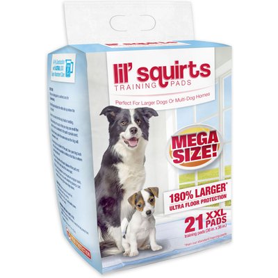 Lil' Squirts Lil' Squirts Dog Training Pads, XX-Large, 21 count