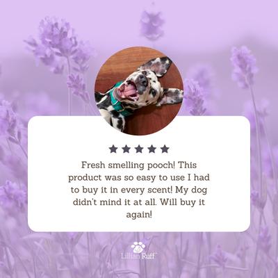 Show full view: Lillian Ruff Waterless Lavender Dog & Cat Shampoo, 16-fl oz bottle slide 4 of 10