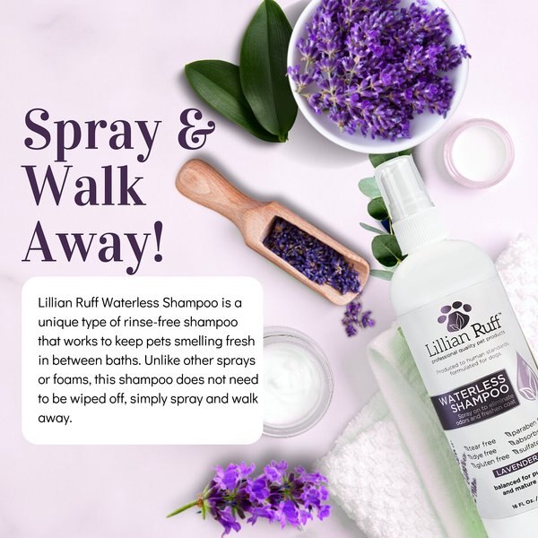 Lucy Pet Products Purple Rain Calm & Clean Lavender Dog & Cat Shampoo