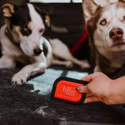 Lilly Brush Hair Clean-up Pet Mini Blade slide 2 of 5