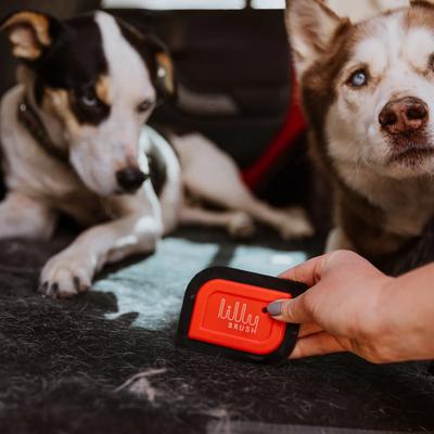 Show full view: Lilly Brush Hair Clean-up Pet Mini Blade slide 5 of 6