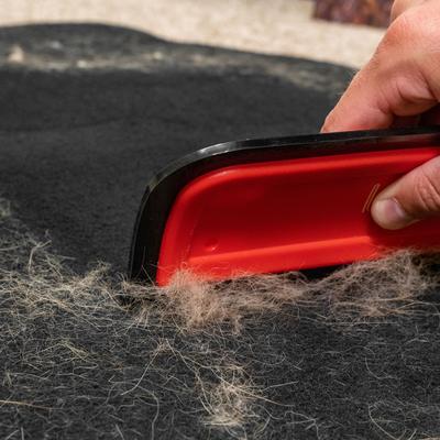 Show full view: Lilly Brush Hair Clean-up Dog & Cat Blade Kit slide 4 of 8