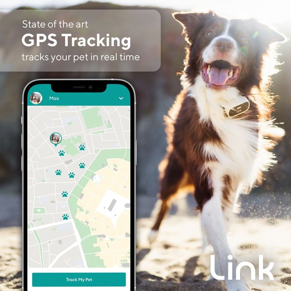 Link My Pet Dog GPS & Activity Tracker with Training Tools, Black & White