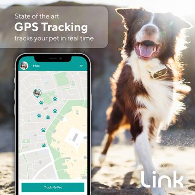 Show full view: Link My Pet Dog GPS & Activity Tracker with Training Tools, Black & White  slide 3 of 12