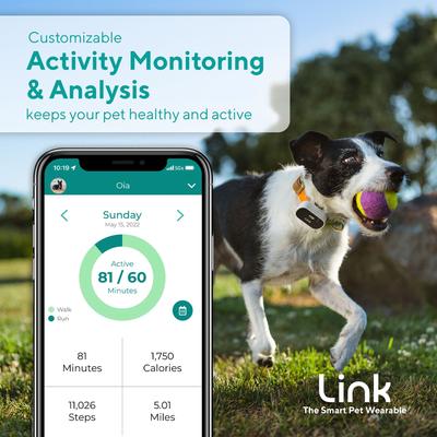 Show full view: Link My Pet Dog GPS & Activity Tracker with Training Tools, Black & White  slide 4 of 12