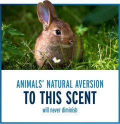 Liquid Fence Deer & Rabbit Repellent Granular, 2-lb bottle slide 2 of 9