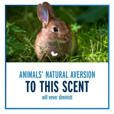 Show full view: Liquid Fence Deer & Rabbit Repellent Spray, 128-fl oz bottle slide 6 of 11