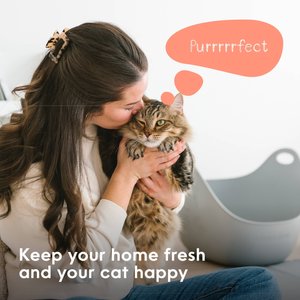 Litter Genie Cat Litter Box Scoop, 11.42-in