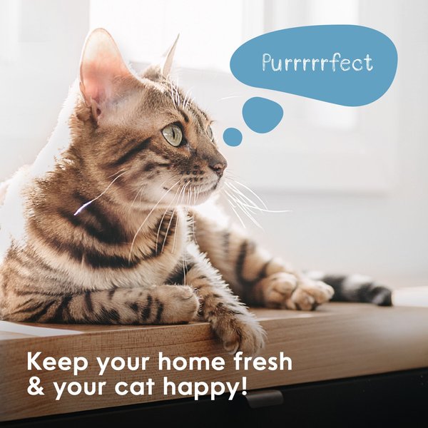 Litter Genie Plus Cat Litter Disposal System
