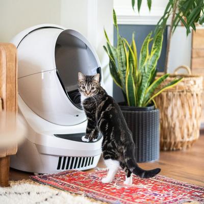 Show full view: Litter-Robot 3 WiFi Enabled Automatic Self-Cleaning Cat Litter Box, Beige slide 9 of 12