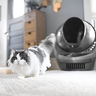 Litter-Robot 3 WiFi Enabled Automatic Self-Cleaning Cat Litter Box, Grey slide 9 of 9