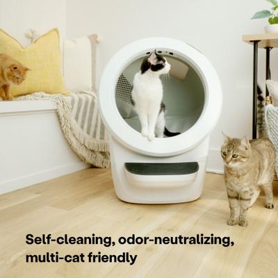 Show full view: Whisker Litter-Robot 4 Automatic Self-Cleaning Cat Litter Box, White slide 3 of 10