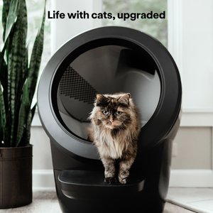 Litter-Robot 4 with Step & Core Accessories Kit Cat Litter Box, Black