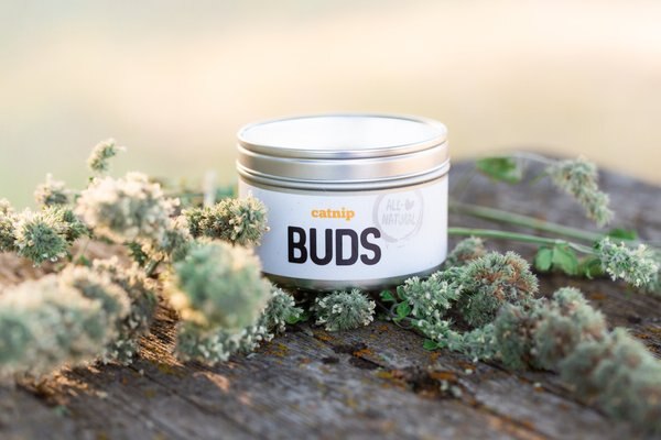 Litterbox.com Buds Catnip, 0.4-oz tin