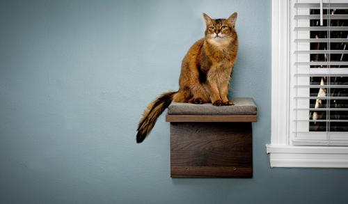 Show full view: Litterbox.com Cat Shelf, 2 count slide 5 of 6