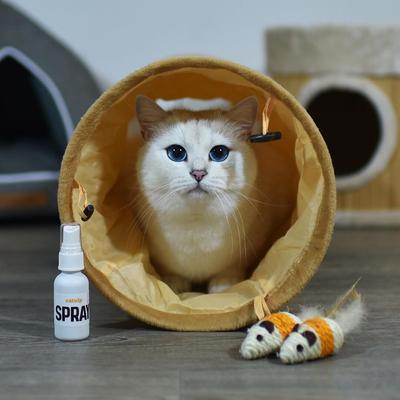 Show full view: Litterbox.com Spray Catnip, 1-oz bottle slide 6 of 7