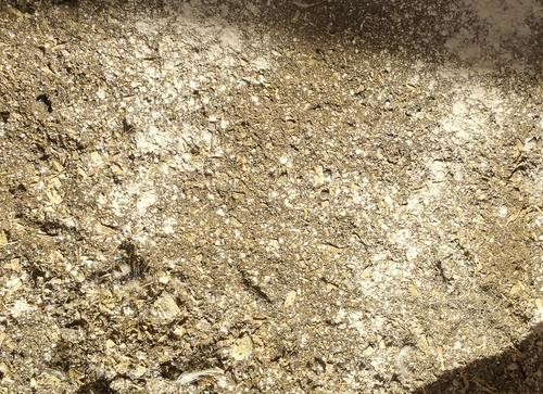 Show full view: Little Farmer Products Coop Right Chicken Dust Bath, 3-lb bag slide 3 of 4