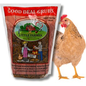 Little Farmer Products Good Deal Grubs Black Soldier Fly Larvae Chicken Treat, 1-lb bag