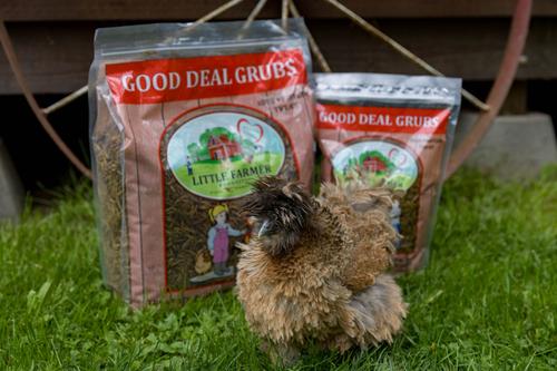 Show full view: Little Farmer Products Good Deal Grubs Black Soldier Fly Larvae Chicken Treat, 5-lb bag slide 7 of 7