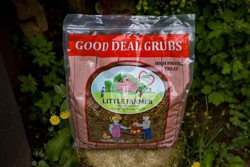 Show full view: Little Farmer Products Good Deal Grubs Black Soldier Fly Larvae Chicken Treat, 5-lb bag slide 5 of 7