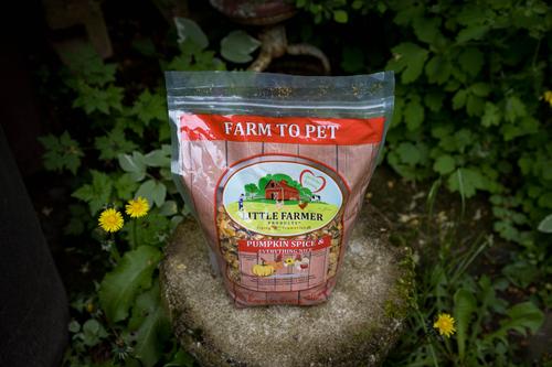 Show full view: Little Farmer Products Pumpkin Spice & Everything Nice Chicken Treat, 3-lb bag slide 7 of 9