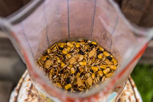 Show full view: Little Farmer Products Pumpkin Spice & Everything Nice Chicken Treat, 3-lb bag slide 8 of 9