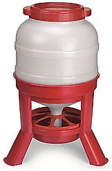 Little Giant Dome Poultry Feeder, 45-lb