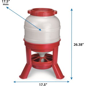 Little Giant Dome Poultry Feeder, 45-lb