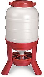 Little Giant Dome Poultry Feeder, 60-lb