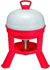 Little Giant Dome Poultry Waterer, 5-gal