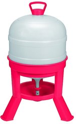 Little Giant Dome Poultry Waterer, 8-gal