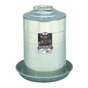 Little Giant Double Wall Metal Poultry Fount, 3-gal