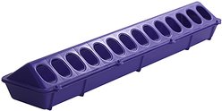 Little Giant Flip-Top Poultry Ground Feeder, Purple