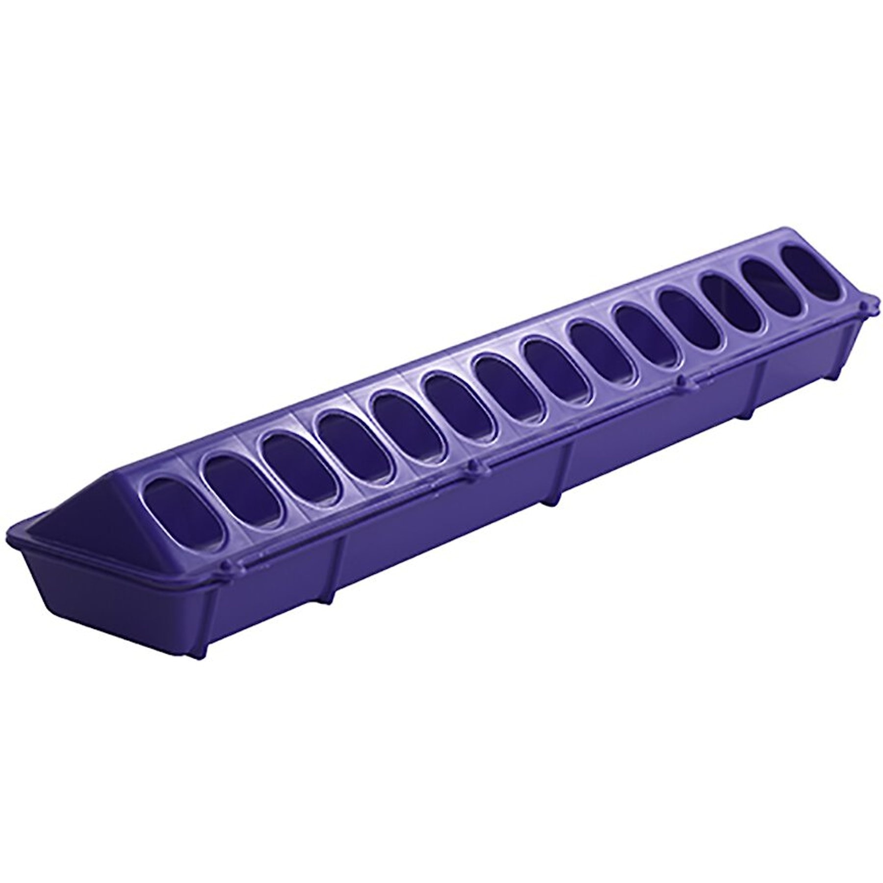 Little Giant Flip-Top Poultry Ground Feeder, Purple