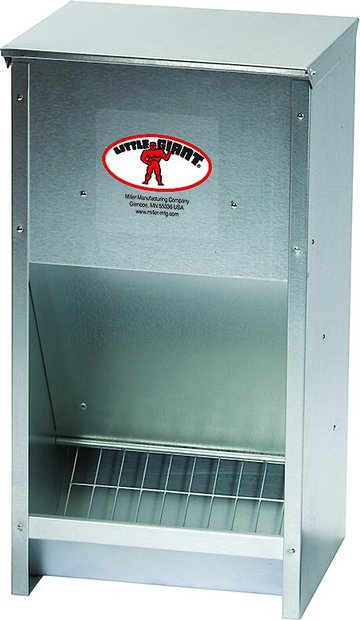 Chicken Feeders | Chewy
