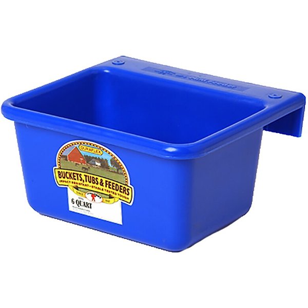 Out of Stock - LITTLE GIANT Mini Feeder, 6-qt, Blue - Chewy.com