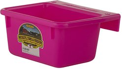 Little Giant Mini Feeder, 6-qt, Hot Pink