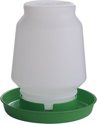Little Giant Plastic Poultry Fount, 1-gal, Lime Green
