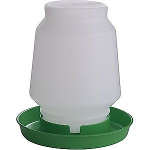 Little Giant Plastic Poultry Fount, 1-gal, Lime Green