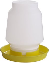 Little Giant Plastic Poultry Fount, 1-gal, Yellow