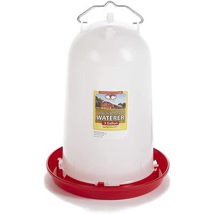Little Giant Poultry Drinker, 3-gal