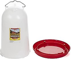 Little Giant Poultry Drinker, 3-gal slide 2 of 8