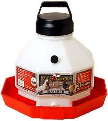 Little Giant Poultry Waterer, 3-gal