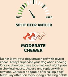 Little Loyals Grade A Premium Split Deer Antler Dog Chew, Large slide 2 of 4